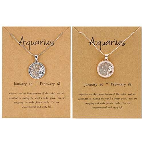 BELLA-Bee 2PC/Set 12 Constellation Necklace Coin Pendant Astrology Constellation Horoscope Zodiac Necklace with Gold Message Card for Women Girls Jewelry
