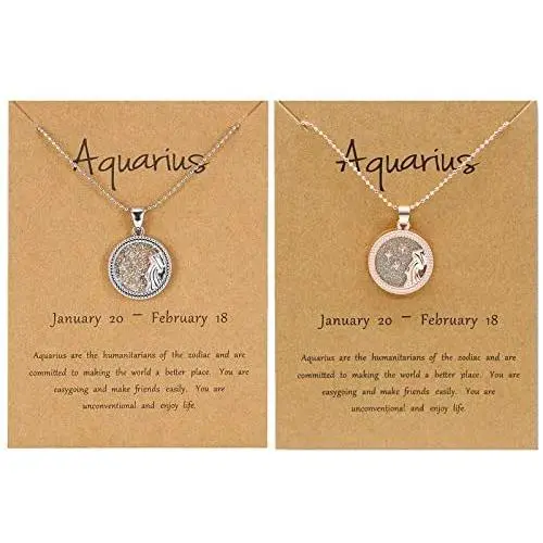 BELLA-Bee 2PC/Set 12 Constellation Necklace Coin Pendant Astrology Constellation Horoscope Zodiac Necklace with Gold Message Card for Women Girls Jewelry