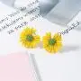 5 Pairs Small Daisy Flowers Earrings Female Shiny Simple Elegant Stud Earring Sweet Candy Petal Earrings for Woman Girls Summer Jewelry 5 Pairs Small Daisy Flowers Earrings Female Shiny Simple Elegant Stud Earring Sweet Candy Petal Earrings for Woman Girls Summer Jewelry