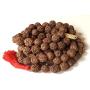 AwakenYourKundalinis Rudraksha Rudraksh japa mala prayer beads necklace - Big 12 mm beads 5 mukhi ( 5 face ) - Energized hand knotted mala w/ Velvet Pouch