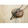 Stainless Steel Nail Cross Pendant Necklace，Mens Punk Jesus Faith Necklace Polished Gold Silver Black 24 Inch