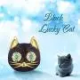 FOREVER QUEEN Black Cat Charm in 925 Sterling Silver with Black Enamel& 5A Zircon for Pandora Bracelet Necklace, Animal Head Bead Charm- Your Lucky Cat Women Men Girls Boys Gifts