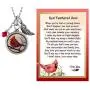 Lola Bella Gifts and Spirit Lala Cardinal Cremation Urn for Ashes Pendant Necklace with Red Feathered Soul Poem Card Gift Box Grief Memorial Lola Bella Gifts and Spirit Lala Cardinal Cremation Urn for Ashes Pendant Necklace with Red Feathered Soul Poem Card Gift Box Grief Memorial