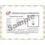 White Japanese AAAA 6-13.5mm Freshwater Cultured Pearl Pendant Necklace 16''/18'' Solitaire Necklace Pendant - Orien Jewelry