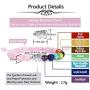 Top Plaza 7 Chakra Bead Bracelet Elephant Gifts Distance Couples Bracelets Lava Rock Stone Healing Crystals Yoga Anxiety Bracelets for Women Men