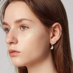 Fruit Hoop Earrings for Women Girls 14k Gold Plated Cubic Zirconia Dangle Earrings for Her
