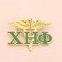 POTIY Chi ETA Phi Charm Brooch Gift Ideas Greek Letter Brooch Chi ETA Phi Charm Sorority Jewelry Graduation Gifts