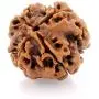 55Carat Choose Your Natural Certified Nepali Rudraksha 1 to 13 Mukhi Ganesh Gauri Shankar Simple Pendant with Red Thread Shiva Astrology Jewelry for Men Women