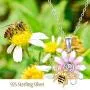925 Sterling Silver Heart Shape Flower Necklace Collections Sunflower Sunshine Necklace Rose Pendant Necklace Jewelry For Women Girls for Her Birthday Christmas Gifts 925 Sterling Silver Heart Shape Flower Necklace Collections Sunflower Sunshine Necklace Rose Pendant Necklace Jewelry For Women Girls for Her Birthday Christmas Gifts