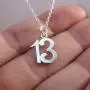 FashionJunkie4Life Sterling Silver Number 13 Charm Necklace, Thirteen 13th Birthday Anniversary Sports Team Milestone