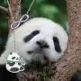 AKTAP Panda Necklace Panda Lover Gifts Infinity Y Necklace Cute Animal Panda Bear Jewelry for Mothers Day Birthday Gift BFF Jewelry AKTAP Panda Necklace Panda Lover Gifts Infinity Y Necklace Cute Animal Panda Bear Jewelry for Mothers Day Birthday Gift BFF Jewelry