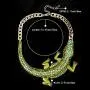 BriLove Womens Gothic Stylish Crystal Crocodile Statement Necklace BriLove Womens Gothic Stylish Crystal Crocodile Statement Necklace