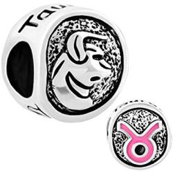 LilyJewelry Lucky Horoscope Sign Bead Charm for Bracelets