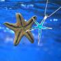 Sterling Silver Starfish Necklace Pendant Earrings Blue Opal White Opal or Green Opal Pendant Necklace