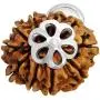 55Carat Choose Your Original Lab Certified Rudraksha 1 to 13 Mukhi Ganesha Gauri Shankar Silver Plated Pendant Astrological Shiva Jewelry for Men and Women