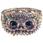 Alilang Owl Face Bracelet Antique Bird Crystal Rhinestone Costume Cuff Bangle