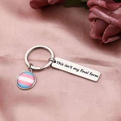 BAUNA LGBTQ Transgender Pride Key Chain Trans Flag Gift This Isn’t My Final Form Gay Pride Jewelry Gift