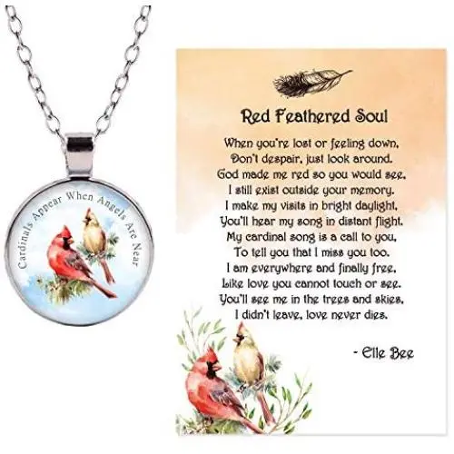 Lola Bella Gifts Cardinals Appear When Angels are Near Circular Medallion Memorial Necklace with Red Feathered Soul Poem Card Box Grief Sympathy Gift Lola Bella Gifts Cardinals Appear When Angels are Near Circular Medallion Memorial Necklace with Red Feathered Soul Poem Card Box Grief Sympathy Gift