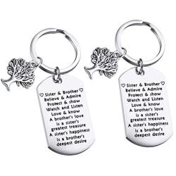 Sister Brother Gifts Dog Tag Keychain Sets Family Tree Pendant Gift Sibling Jewelry Birthday Gifts A Brothers Love is a Sisters Greatest Treasure