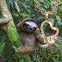 HOLLP Sloth Jewelry Dont Hurry Be Happy Sloth Necklace Heart Shape Necklace Sloth Charm Necklace for Sloth Lovers Impulsive People