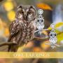 LUHE Sterling Silver Owl Earrings Dangle Earrings for Women Fashion Sterling Silver Dangling Drop Earrings Birthday Gifts for Teens Girls