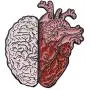 ROSTIVO 2 in 1 Enamel Pins for Backpacks Novelty Aesthetic Lapel Brooches Pin for Jackets Brain and Heart Shaped Pins for Men Women Boys and Girls ROSTIVO 2 in 1 Enamel Pins for Backpacks Novelty Aesthetic Lapel Brooches Pin for Jackets Brain and Heart Shaped Pins for Men Women Boys and Girls