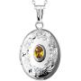 Finejewelers Sterling Silver Birthstone Locket Pendant Necklace