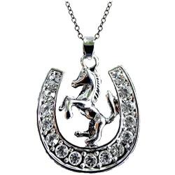 DianaL Boutique Gorgeous Lucky Horseshoe Pony Horse Necklace on 18'' Link Chain Gift for Girls Teens Women Fashion Jewelry