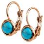 555Jewelry Womens Stainless Steel Stone Cut Classic Leverback Findings Earring