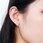 ERLUER Womens Mickey Stud Earrings Mouse Shape Rose Gold Platinum Plated Zircon Crystal Fashion Jewelry Earring For Women Party Gifts