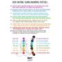 SPUNKYsoul Chakra Balancing Bracelet for Women Collection