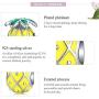 ABAOLALA Fruits Charm 925 Sterling Silver Watermelon, Apple, Banana, Pineapple, Avocado Beads fit 3mm Pandora Charms - Fruit Lovers