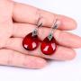 EVER FAITH 925 Sterling Silver Red Corundum Crystal Bridal Retro Leaf Teardrop Hook Dangle Earrings