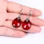 EVER FAITH 925 Sterling Silver Red Corundum Crystal Bridal Retro Leaf Teardrop Hook Dangle Earrings EVER FAITH 925 Sterling Silver Red Corundum Crystal Bridal Retro Leaf Teardrop Hook Dangle Earrings