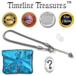 Timeline Treasures European Charm Bracelet for Women and Girls Bead Charms, Stainless Steel Snake Chain, Extender