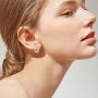 Small Hoop Earrings 925 Sterling Silver Tiny Cartilage Leaf Hoop Earrings Jewelry Gifts with Gift Box for women and girls( silver) (earring A)