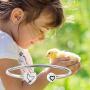 CENWA Pet Lover Gift Poultry Lover Gift Chicken Charm Bracelet Chicken Jewelry Chicken Lover Gift