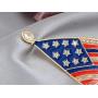 Alilang Golden Tone Clear Crystal Rhinestones Stripes Enamel 4th of July America USA Flag Patriotic Brooch Pin