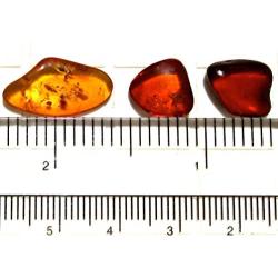 Ian and Valeri Co. Raw Amber Flat Gemstones Small Set of 3 Gem Stones