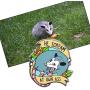 CENWA Possum Animal Lover Gift He Scream at Own Ass Brooch Pin Opossum Wildlife Jewelry