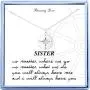 Sister Gifts from Sister Sterling Silver Compass Necklace Best Friend Necklaces BFF Gifts for Women Girls Sister Birthday Gifts Sister Gifts from Sister Sterling Silver Compass Necklace Best Friend Necklaces BFF Gifts for Women Girls Sister Birthday Gifts