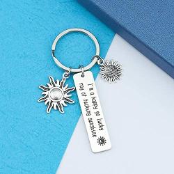 HN HNHB A Happy Go Lucky Ray of Sunshine Funny Keychain Sunshine Gift Inspirational Jewelry Gifts (Lucky Ray KE) …