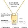 18K Gold Plated Dainty Inspirational Engraved Necklace Lock Necklace Pendant Handmade Gold Choker Hidden Messages Letter Necklace for Women