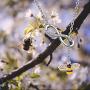 FUSTMW Crystal Bumblebee Pendant Necklace Infinity Love Charm Flying Honeybee Insect Jewelry Gifts (fts 3-8inch Wrist bee Bracelet)