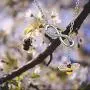 FUSTMW Crystal Bumblebee Pendant Necklace Infinity Love Charm Flying Honeybee Insect Jewelry Gifts (fts 3-8inch Wrist bee Bracelet) FUSTMW Crystal Bumblebee Pendant Necklace Infinity Love Charm Flying Honeybee Insect Jewelry Gifts (fts 3-8inch Wrist bee Bracelet)