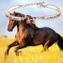 Zuo Bao Horse Memorial Jewelry Horse Lover Bracelet A Piece of My Heart Lives in Heaven Gift Loss of Horse Bracelet