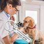 UJIMS Veterinarian Keychain Paw Print Gift Every Patient Leaves A Pawprint On My Heart Veterinary Medicine Jewelry Vet Tech Appreciation Gift