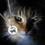 Moon Phase Witchcraft Black Cat Necklace Launar Phase Necklace