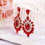 BriLove Womens Fashion Trendy Crystal Teardrop Halo Chandelier Dangle Earrings