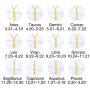 Nanafast Zodiac Necklace Stainless Steel Zodiac Sign Letter Pendant Necklace Adjustable Constellation Horoscope Necklace for Women Girls Christmas Birthday Gifts